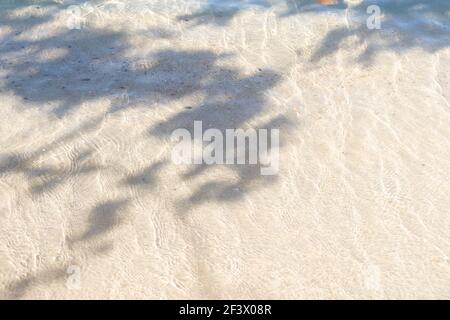Ombra di foglie di alberi sulla spiaggia tropicale in estate. Foto Stock