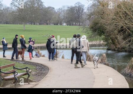 Northampton, Regno Unito.18 marzo 2021. Un selvaggio Otter Lutra lutra (Carnivora) nel lago di Abington Park che causa un sacco di interesse con un rapporto di odio amore tra fotografi locali e pescatori. Credit: Keith J Smith./Alamy Live Foto Stock