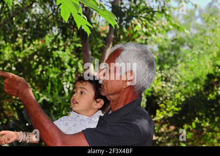 In piedi nel giardino con un nonno indiano e un nipote giovane, dando informazioni di alberi e piante con segni a mano, india Foto Stock