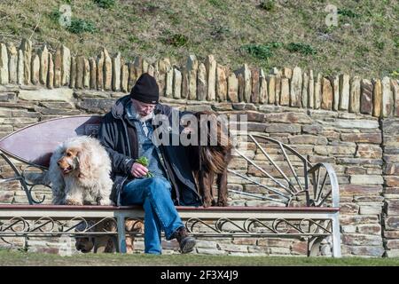 Un anziano seduto su una panchina con i suoi cani da compagnia a Fistral a Newquay in Cornovaglia UK. Foto Stock