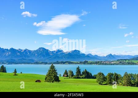 Idilliaca natura rurale intorno al Forggensee, un bacino idrico del Lech nella Königswinkel vicino Füssen. Foto Stock