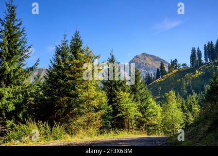 Tipico paesaggio alpino nella Allgäu bavarese Foto Stock