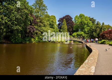 Il ponte sulla piscina Swan nel Priory Park, Great Malvern, Worcestershire, Inghilterra Foto Stock