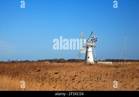 Una vista del Thurne Dyke Drainage Mill su letti di canna a fine marzo nel Norfolk Broads a Thurne, Norfolk, Inghilterra, Regno Unito. Foto Stock