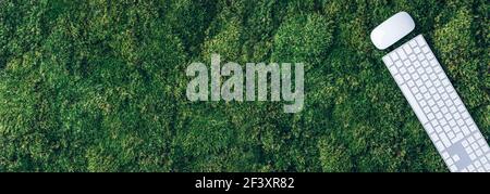 Tastiera e mouse del computer portatile su muschio verde. Vista dall'alto, spazio di copia. Consapevolezza, design biofilo, concetto di scollegamento. Detox digitale. Ufficio estivo Foto Stock