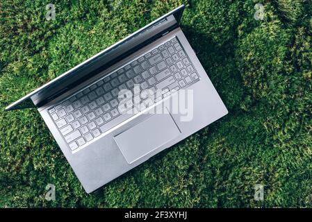 Lavoro a distanza, lavoro freelance. Remoto, ufficio domestico con computer portatile su erba verde, muschio sfondo foresta. Viaggi ecologici, lavoro fuori ufficio. Consapevolezza Foto Stock