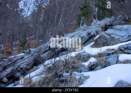 Mattina sulla valle di valbona Foto Stock