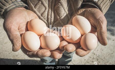 Un uomo anziano sta tenendo un uovo e lo mostra. Sfondo naturale del prodotto. Foto Stock