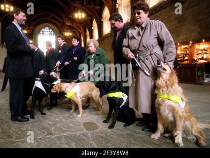 David Blunkett Guida cani per l'Associazione ciechi Marzo 2001Il i cani guida per l'associazione cieca hanno tenuto un ricevimento a. La Camera dei Comuni per celebrare l'introduzione della sezione 37 della legge sulla discriminazione della disabilità 1995 che richiede una licenza Tassisti per portare cani guida nelle loro auto David Blunkett MP e segretario di formazione con il suo cane guida Lucy visto qui incontrare alcuni dei membri dell'associazione e loro Cani nella Casa dei Comuni Foto Stock