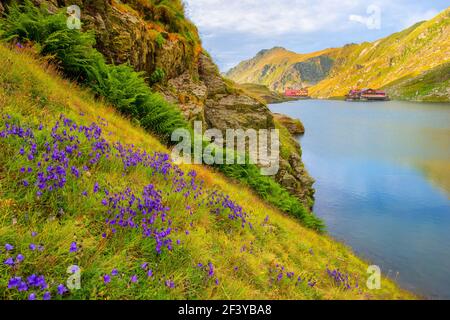 Bella vulcanico lago Balea ad alta altitudine, sulla montagna Fagaras, Romania Foto Stock