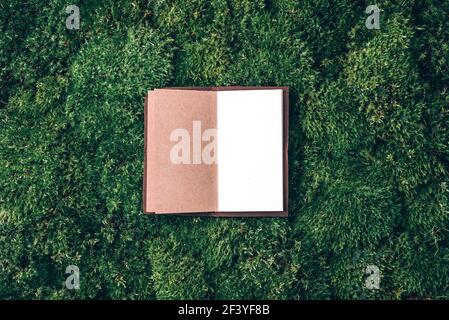 Taccuino artigianale, libro di schizzo su erba verde primavera fresca, sfondo muschio. Spazio di copia. Vista dall'alto. Natura selvaggia, concetto di ecologia. Estate foresta Foto Stock