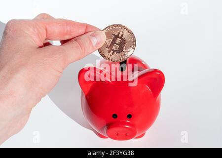 Concetto di risparmio di criptovaluta. Una mano tiene una moneta di bitcoin su un banco di piggy rosso su uno sfondo bianco. Nuovo sistema finanziario. Foto Stock