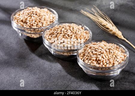 Orzo perlato in tre ciotole di vetro - Hordeum vulgare Foto Stock