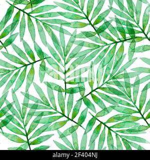 Acquerello tropicale senza giunture con foglie di palma verdi su sfondo bianco. Motivo senza giunture acquerello tropicale Foto Stock