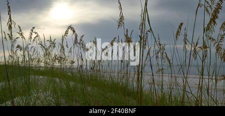 Vista panoramica di Holmes Beach, Anna Maria Island,Manatee County,l'America Foto Stock