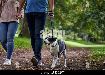 Giovane coppia che cammina il loro cane animale domestico lungo il percorso nel parcheggio Foto Stock