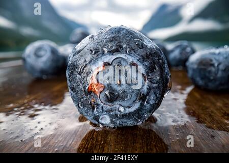 Mirtillo antiossidanti su un tavolo di legno su uno sfondo di natura norvegese. Foto Stock