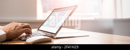 Spreadsheet Business Data Analyst utilizzando lo schermo del computer Foto Stock
