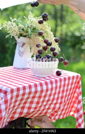 Immagine presentando un mazzetto di ripe di ciliege dolci Foto Stock