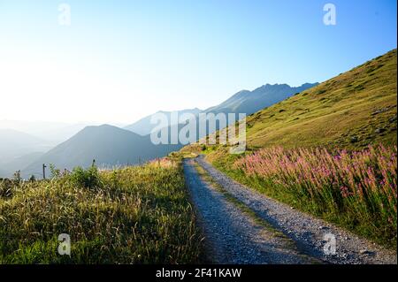 Macadam percorso in pietra nelle montagne circondato da bellissimi fiori e colline erbose Foto Stock