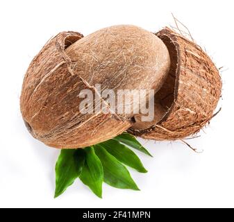 Dividere la frutta di cocco con il seme interno intero su foglie verdi isolate su sfondo bianco. Foto Stock