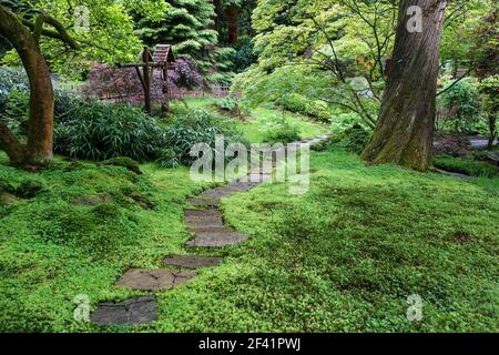 Un percorso tortuoso attraverso il Giardino Giapponese a Tatton Park, Cheshire, Inghilterra, Regno Unito Foto Stock