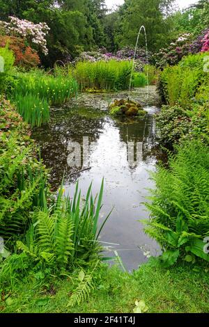 Una fontana in una piscina o stagno a Tatton Park, Cheshire Inghilterra, UK Foto Stock