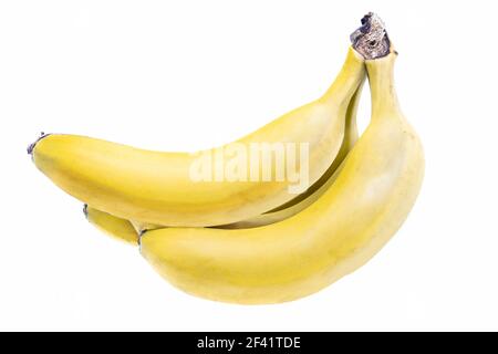 Banane biologiche gialle delle Canarie mature dell'isola di la Palma Foto Stock