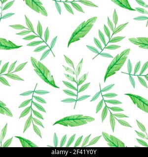 Acquerello seamless pattern con ramo verde e foglie su uno sfondo bianco. Foto Stock