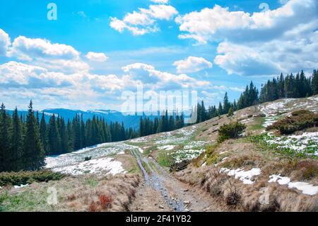 Paesaggio primaverile con montagne, verde foresta di abete rosso e cielo blu con nuvole Foto Stock