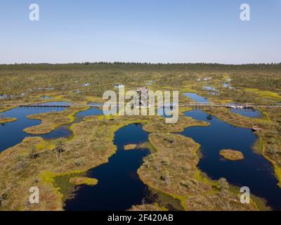 Riserva naturale di Endla in Estonia Foto Stock