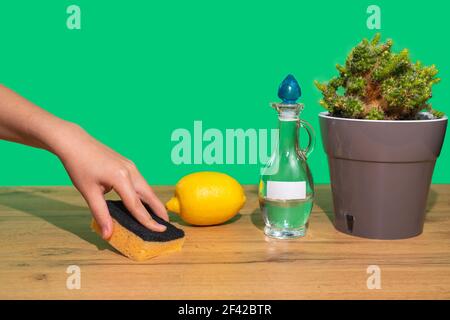 Una mano di donna pulisce un tavolo di legno con una spugna e un agente naturale atossico. Prodotti ecologici per la pulizia della casa. Aceto, limone. Sfondo verde. Foto Stock
