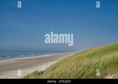 Henne spiaggia con oceano, dune e orizzonte in giornata di sole, Jutland, Danimarca Foto Stock