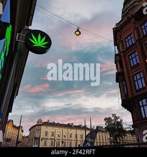 Cracovia, Polonia - 12 ottobre 2019: Un segno del logo della pianta di cannabis di fronte al Cannabis Shop, un negozio legalmente operativo in città, che vende prodotti di canapa Foto Stock