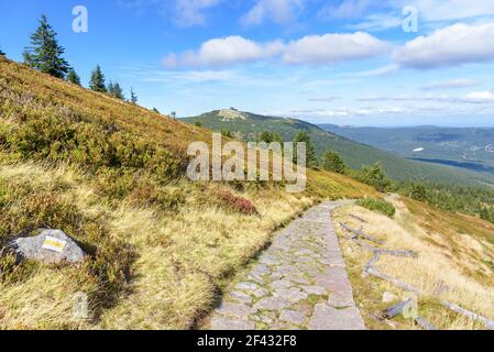 Sentiero al rifugio sotto Labski Szczyt montagna in polacco Montagne giganti Foto Stock