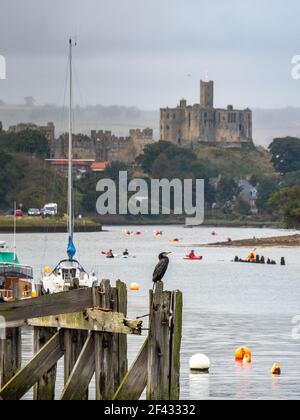 Warkworth Castello e il fiume Coquet, vista da amble, Northumberland Foto Stock