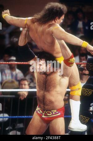 Razor Ramon (Scott Hall) 1993 Foto di John Barrett/PHOTOlink Foto Stock