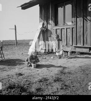 Sulle pianure ad ovest di Fresno, California. Famiglia di sette del ranch caseario dell'Oregon che hanno perso. "Abbiamo cercato di diventare troppo grandi, immagino. Le lattine di latte sono tutto che è lasciato del caseificio. Ora selezioni i bolls per fare cinquanta centesimi ad un dollaro un il giorno. Non possiamo lavorare tutti i giorni o forse potremmo arrivare.' Affitto per casa senza acqua o servizi igienici -sei dollari al mese. Piano accanto a raccogliere la frutta. "Dicono che se vieni in California, torni sempre, ma sono disposto a lasciarlo". Febbraio 1939. Fotografia di Dorothea Lange. Foto Stock