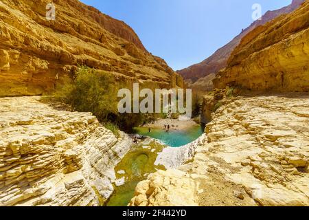 Ein Gedi, Israele - 13 marzo 2021: Vista delle piscine superiori lungo il torrente Arugot, con i visitatori, nella Riserva Naturale di Ein Gedi, vicino al Mar Morto, Sout Foto Stock