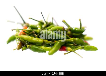 Peperoncino verde caldo isolato su sfondo bianco, concetto piccante, Capsicum annuum, pepe tailandese Foto Stock