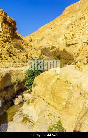 Vista del paesaggio lungo il torrente Arugot, nella riserva naturale di Ein Gedi, vicino al Mar Morto, Israele meridionale Foto Stock