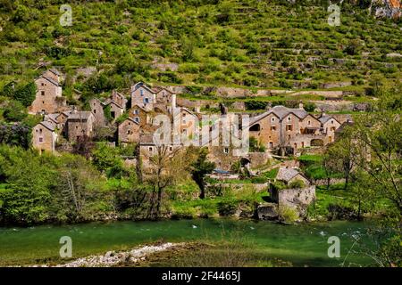 Frazione di Hauterives, fiume Tarn, Gorges du Tarn, comune Gorges du Tarn Causses, dipartimento Lozere, regione Occitanie, Francia Foto Stock