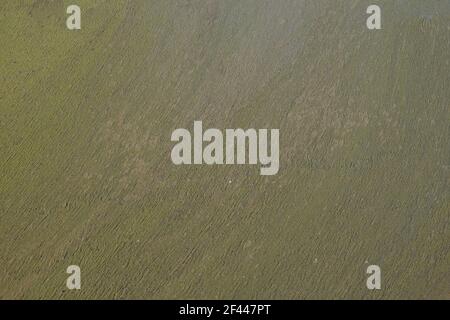 Superficie d'acqua coperta di fango. Fango marrone nuvoloso. Sfondo. Acqua paludosa. Foto Stock