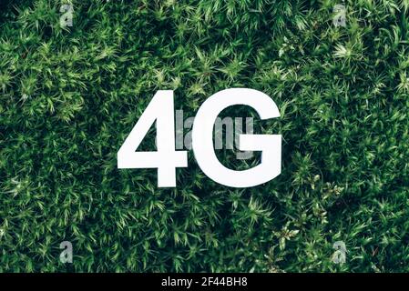 Iscrizione 4G su muschio, sfondo verde erba. Vista dall'alto. Spazio di copia. Banner. Concetto di biofilia. Natura sfondo Foto Stock