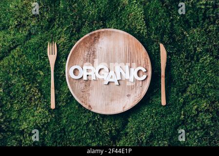 Stoviglie monouso in legno di materiali naturali con parola ORGANICA, cucchiaio di legno, forchetta su fondo di muschio verde. Stile di vita sostenibile ed ecologico Foto Stock