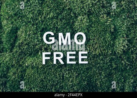 Iscrizione GMO LIBERA su muschio, sfondo verde erba. Vista dall'alto. Spazio di copia. Banner. Concetto di biofilia. Natura sfondo. Organismo geneticamente modificato Foto Stock