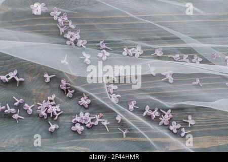 Splendido tessuto di tulle viola su sfondo bianco, vista dall'alto. Spazio  per il testo Foto stock - Alamy