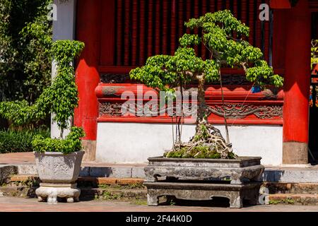 Il Tempio della Letteratura di Hanoi in Vietnam Foto Stock