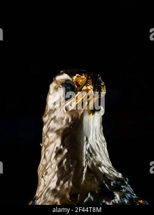 statuetta di un'aquila sullo sfondo Foto Stock