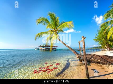 Seascape con palme tropicali sulla bellissima spiaggia di sabbia nell'isola di Phu Quoc, Vietnam. Si tratta di una delle migliori spiagge del Vietnam. Foto Stock